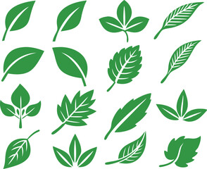 Leaf icons set isolated on white background. Leaf logotype. Vector
