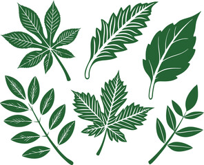 Leaf icons set isolated on white background. Leaf logotype. Vector