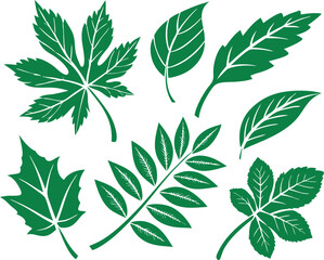 Leaf icons set isolated on white background. Leaf logotype. Vector