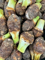 Taro root at a fresh market. Taro root, Latin name -Colocasia esculenta, in a pile at a fresh market