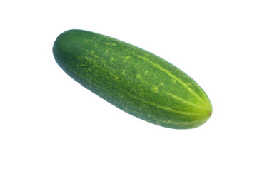 Fresh Green Cucumber Isolated on White Background