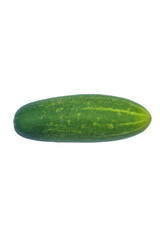 Single Green Cucumber Isolated on White Background
