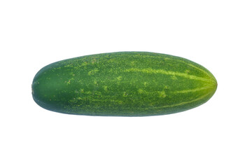 Single Green Cucumber on White Background