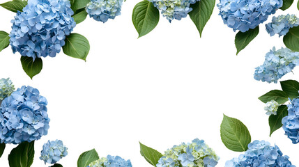 Elegant Blue Hydrangea Frame – Sophisticated Floral Border Design