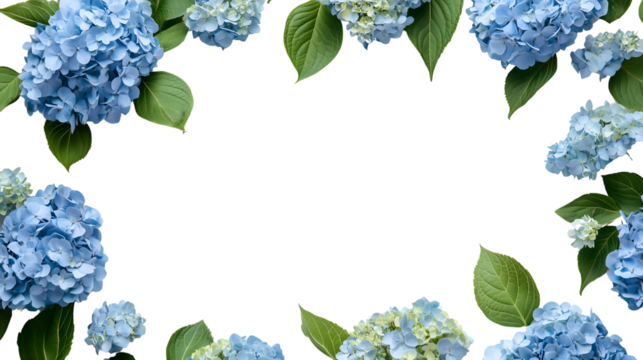 Elegant Blue Hydrangea Frame – Sophisticated Floral Border Design