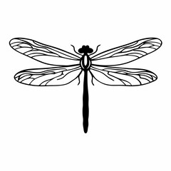 dragonfly vector illustration