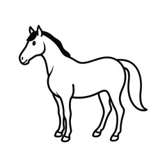 horse silhouette isolated on white