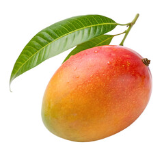 ripe mango with leaf isolated