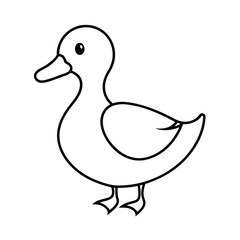 duck isolated on white background