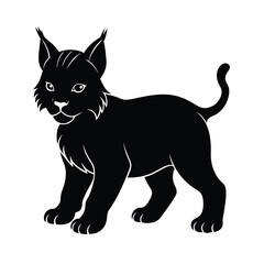 black cat vector illustration