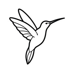 Obraz premium hummingbird vector illustration