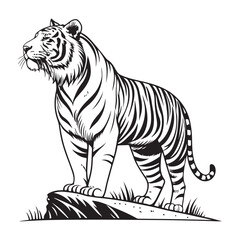 Tiger Vector 