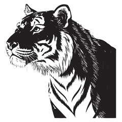 Tiger Vector 