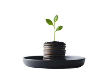 A small green plant growing out of a stack of chocolate cookies on a black plate against white background