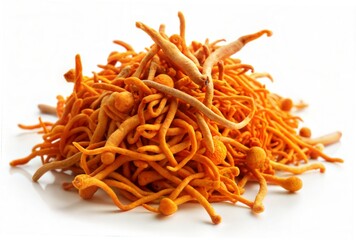 Fototapeta premium Fresh Cordyceps Mushroom