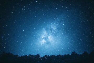 Night sky over forest, revealing milky way, for astronomy, space exploration concepts