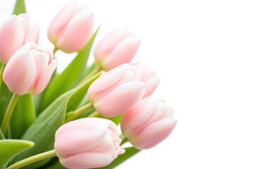 Fototapeta premium bunch of white tulips with green leaves on a table