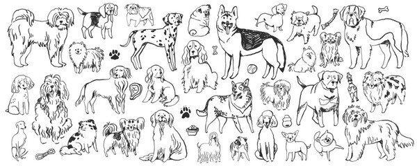 Hand-drawn doodle dog breeds set, whimsical ink sketched illustrations