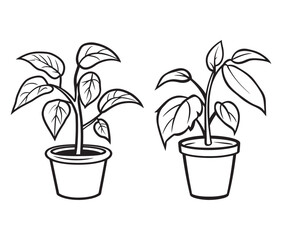 Hand drawn vector illustration of a plant. Minimalist potted plant illustration. Office plant in a pot