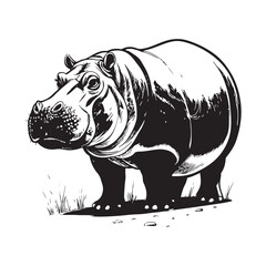 Hippopotamus Vector 