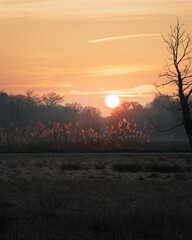 Serene sunset over tranquil field