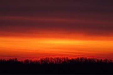 Obraz premium Fiery Sunset over Silhouetted Trees Landscape Panorama
