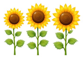 Sunflowers illustrated in a children's book style, showing different angles and stages of bloom with vibrant yellow petals and lush green leaves.