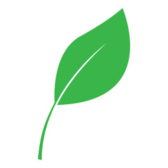 Green leaf icon