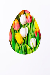 Egg-shaped cutout filled with fresh tulips in vibrant colors. Easter and springtime floral composition.