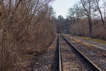 Fototapeta premium The tracks for the train are lined with trees. Monorail in the landscape