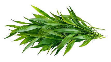 Fototapeta premium Vibrant Green Leaves: A Close-Up Studio Shot AI Generated