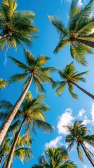 Obraz premium Golden Hour Holiday Clear, Brown Toned Palm Tree Silhouette Against Tropical Greenery, Captured From Low Angle Under Stunning Sky, Perfect Time To Escape