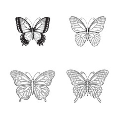 Butterfly Illustrations, Set of Four Detailed Black and White Butterfly Illustrations