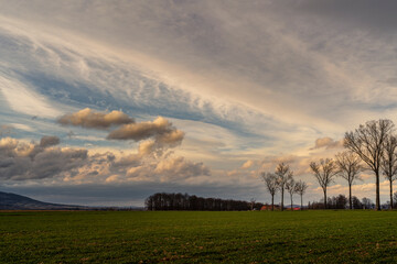 A barren field stretches to the horizon under a dramatic, cloudy sky. A row of bare trees stands...