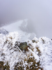Mountain frozen landscaoe on a foggy day
