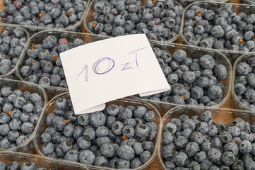 Borówki sprzedaż na targu, skup owoców  © Paweł Kacperek
