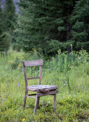 Naklejka premium old wooden chair in a field with a forest in the background 