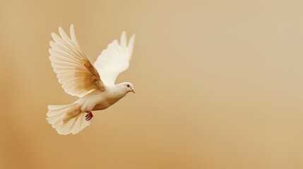  "White Dove in Flight with Beige Background"