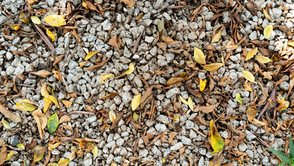 Pebbles for flooring mixed with dried leaves and flowers. For background and textured.