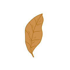 tobacco leaf vector