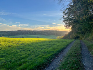 Field path in Germany along green meadow in fall