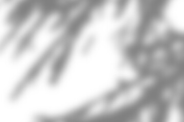 A shadow overlay mockup showcasing blurred shadows on a light background, perfect for adding depth and texture to your design.