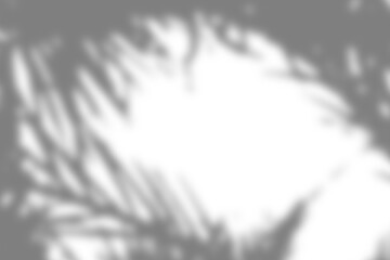 A clean and minimalist shadow overlay mockup, highlighting soft shadows and a smooth surface, great for adding an elegant touch to creative projects.