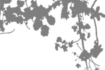 Fototapeta premium A shadow overlay mockup featuring sharp, natural shadows on a textured surface, perfect for adding a dynamic and contemporary feel to your design.