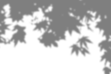 A soft shadow overlay with abstract patterns, ideal for adding a subtle, artistic effect and enhancing the texture of your design projects.