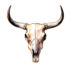 Isolated bull skull with long horns on white