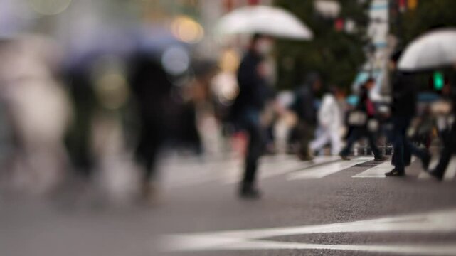 冷たい雨が降る渋谷スクランブル交差点・Mar.2025　シフトレンズ逆アオリ