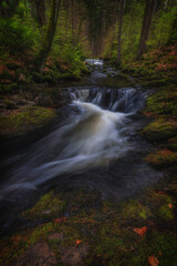 A blurred, dreamy image of a stream flowing through a lush green forest, capturing a sense of tranquility and natural beauty