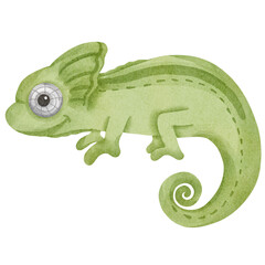 lizard watercolor © Je