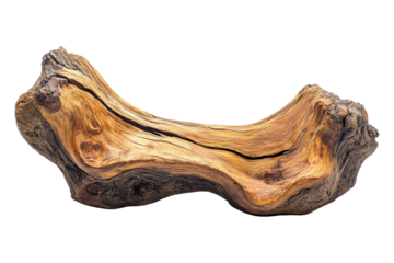 Crafting unique wooden art pieces workshop nature rustic